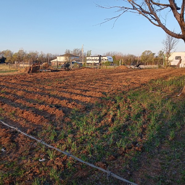 Community at the ranch